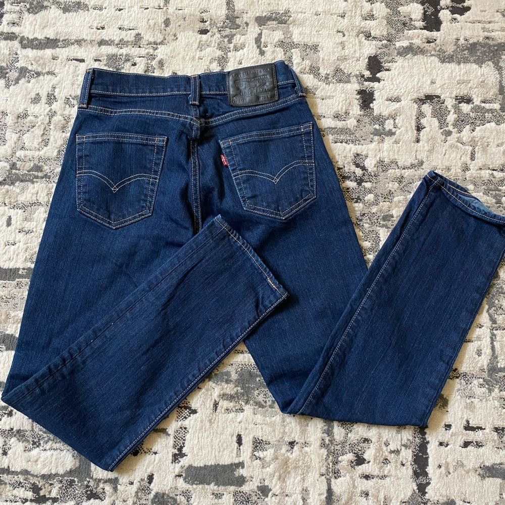 Vintage Levi’s 511 BigE 28x27